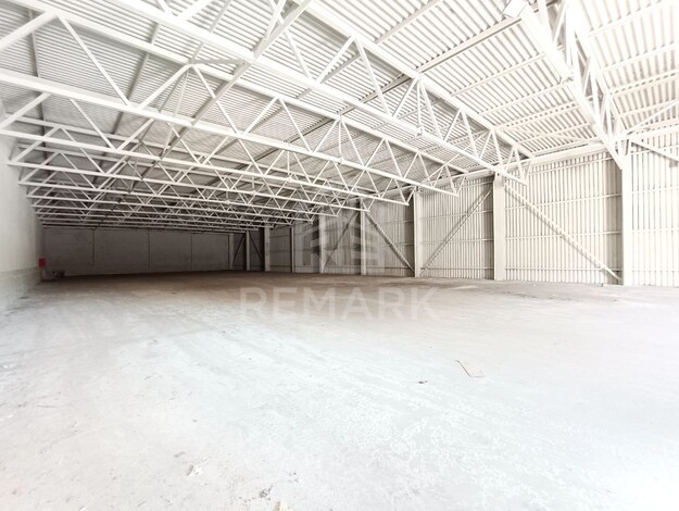 photo257533