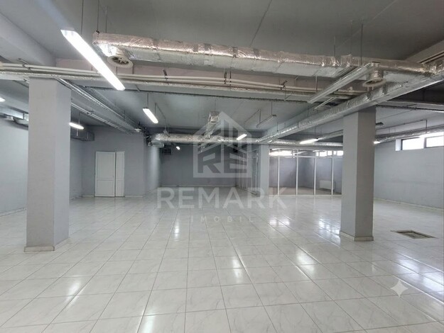 photo257537