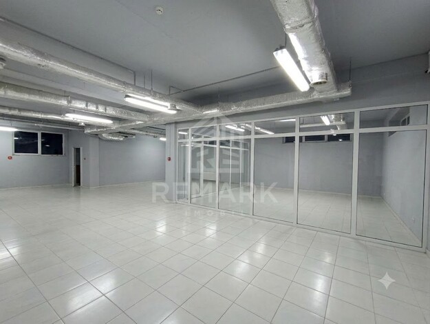 photo257541