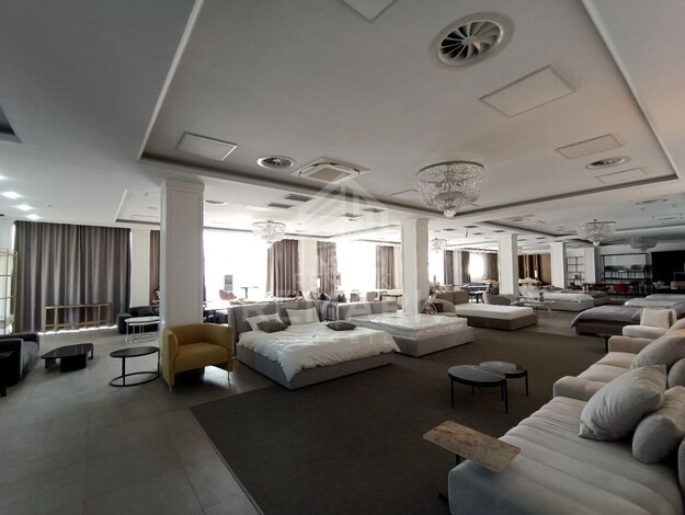 photo257565