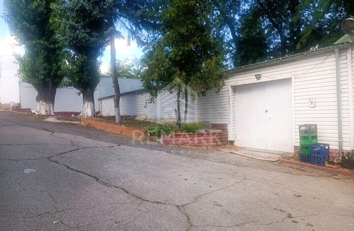 photo257617