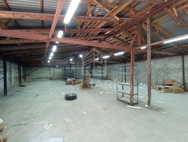 photo257623