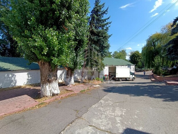 photo257621