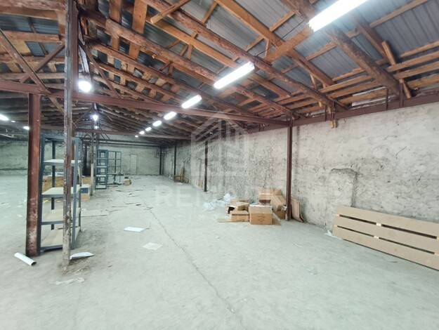 photo257627