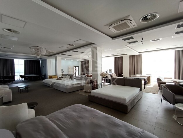 photo257658
