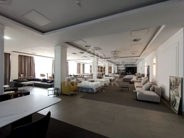 photo257659
