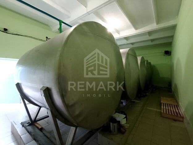 photo257661