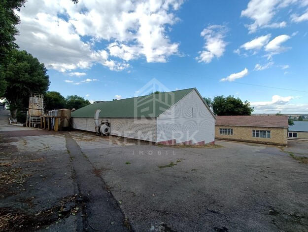 photo257665