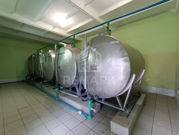 photo257664