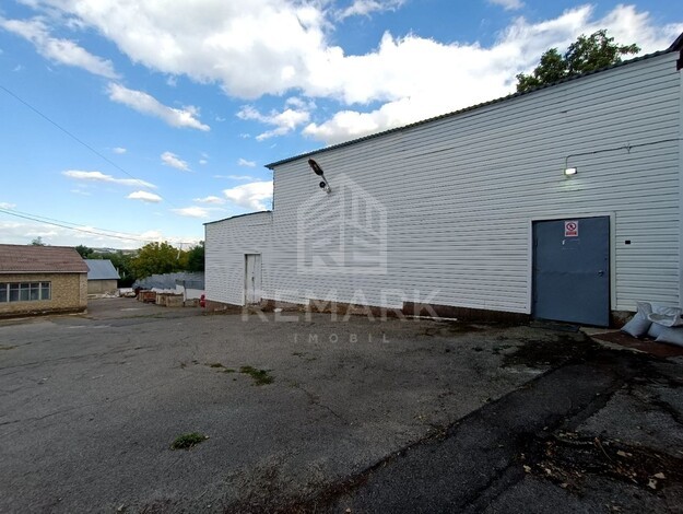 photo257666