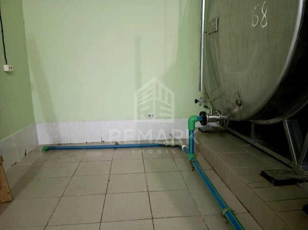 photo257662