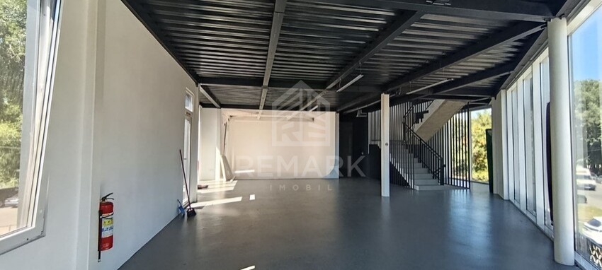 photo257718