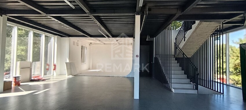 photo257717