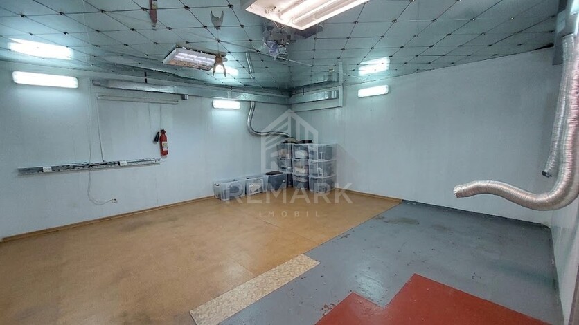 photo257721