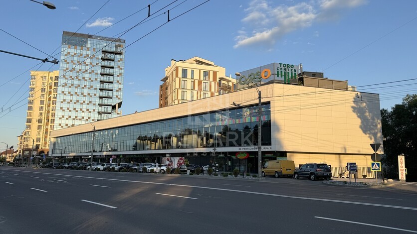 photo257848