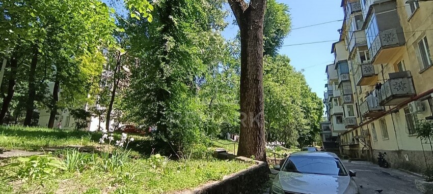photo258150