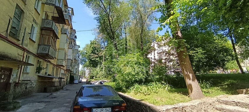 photo258151
