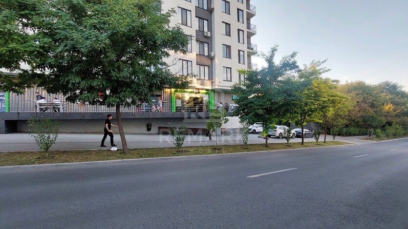 photo258319