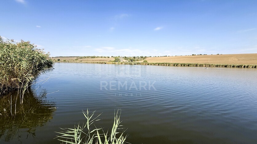 photo258497