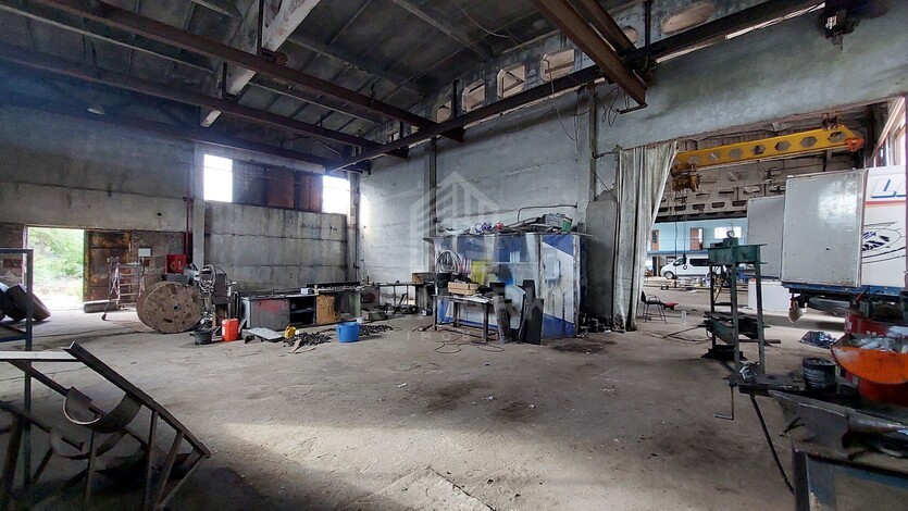 photo258584