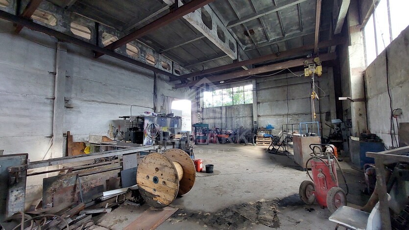 photo258583
