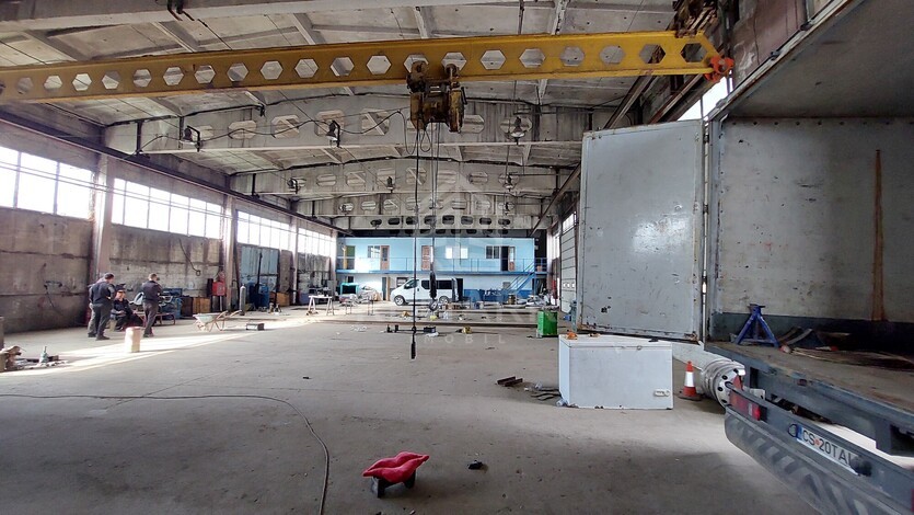 photo258585