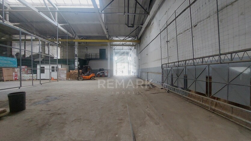 photo258594