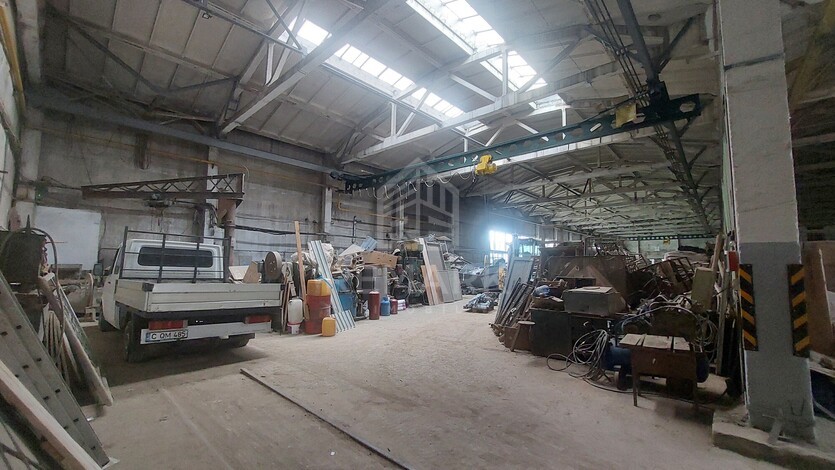 photo258595