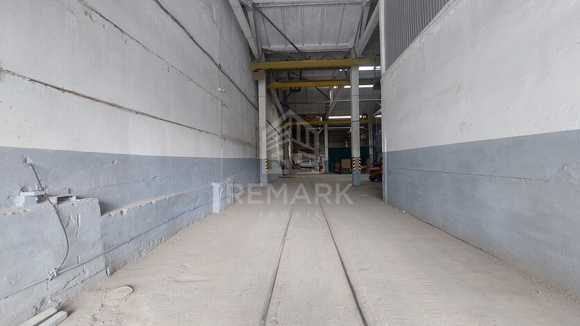 photo258597
