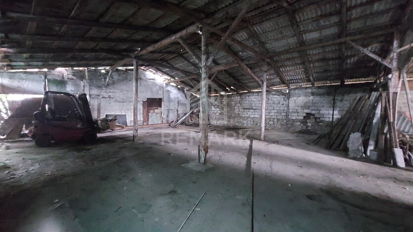 photo258602