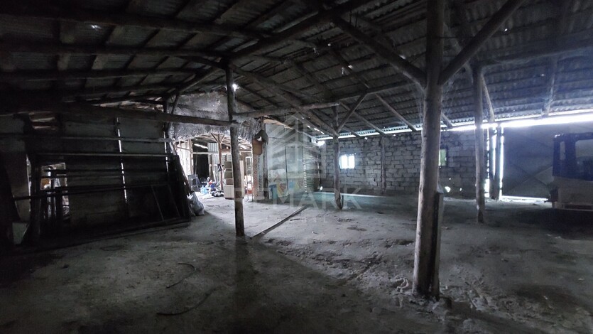 photo258603