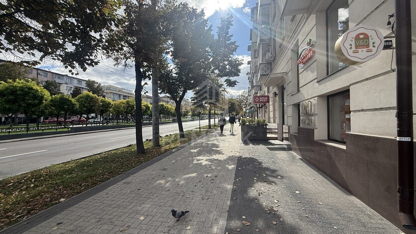 photo258614