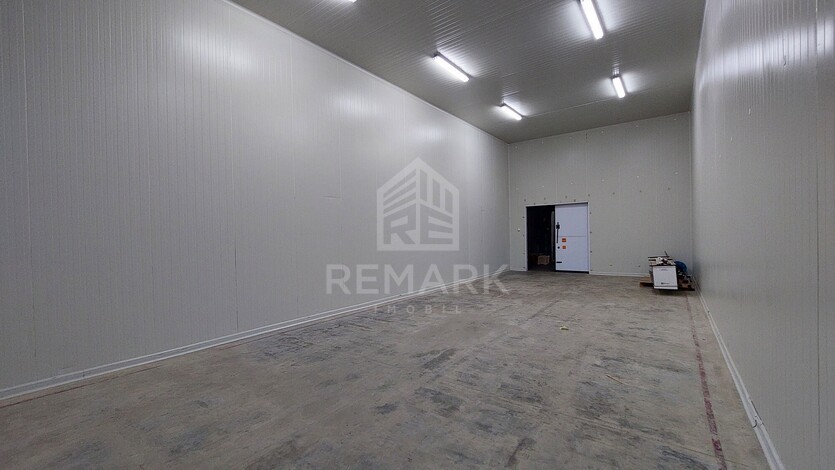 photo258628