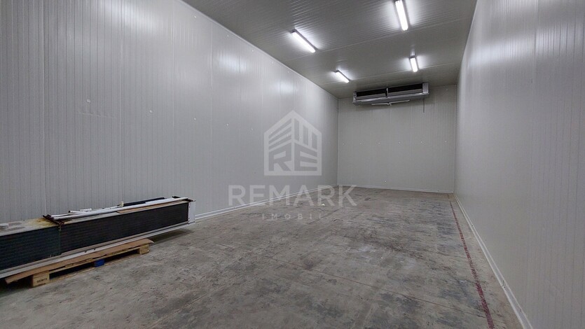 photo258626