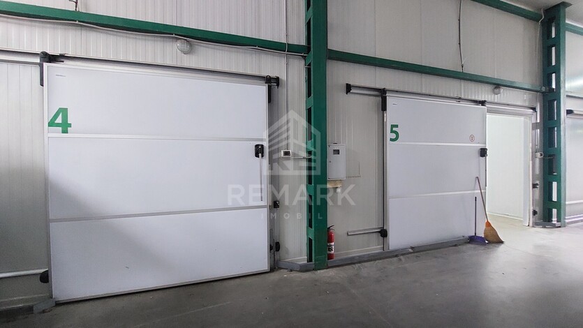 photo258629