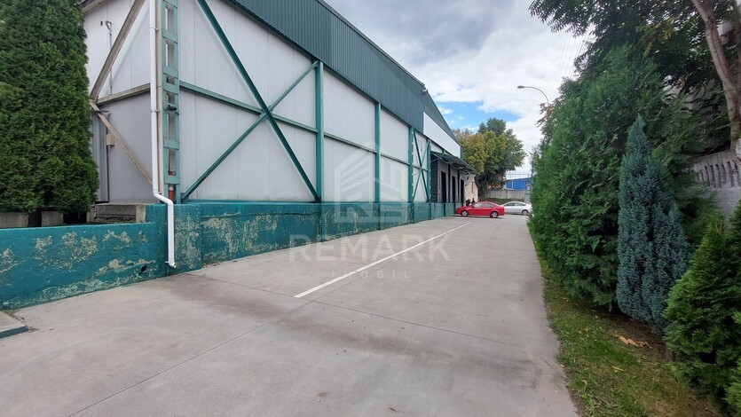 photo258630