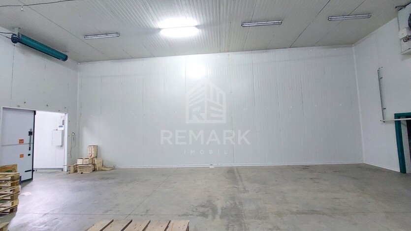 photo258639
