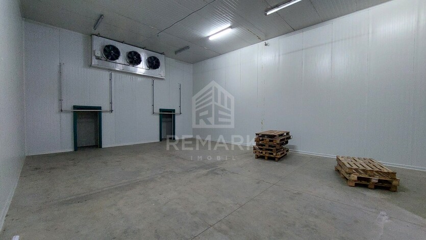photo258637