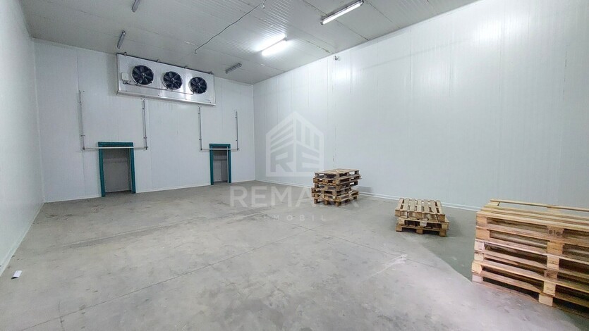photo258641