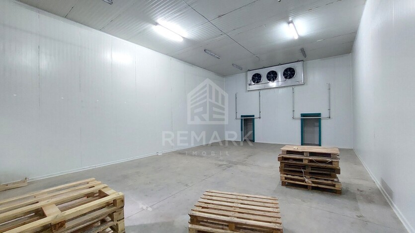 photo258640