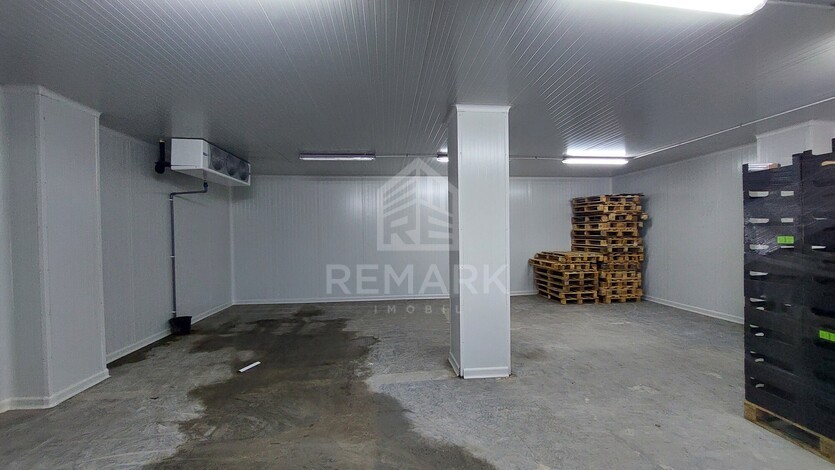photo258644