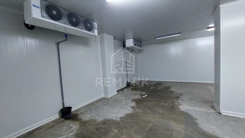 photo258645