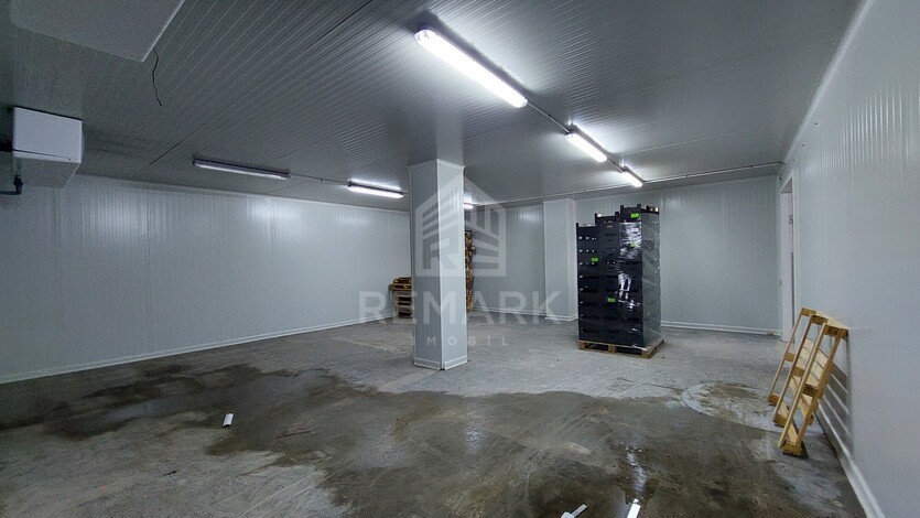 photo258646