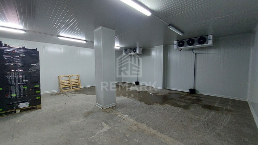 photo258648