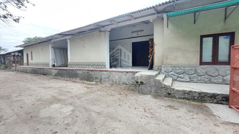 photo258649