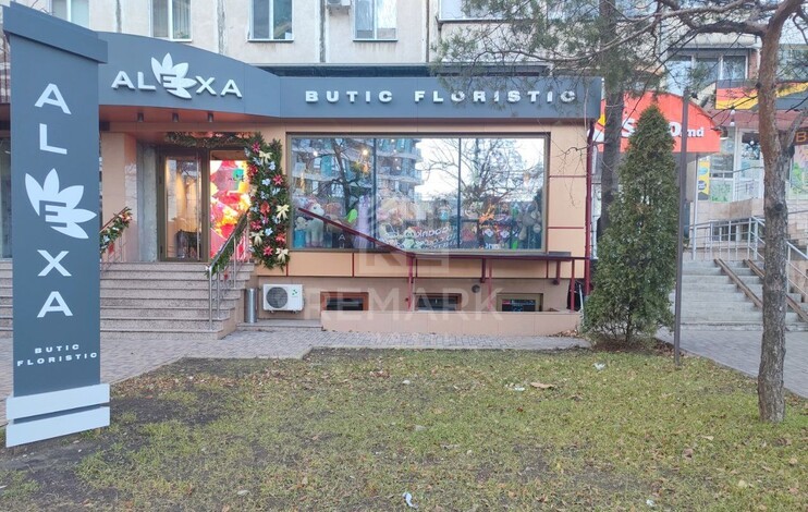 photo258949
