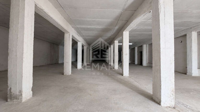 photo259220