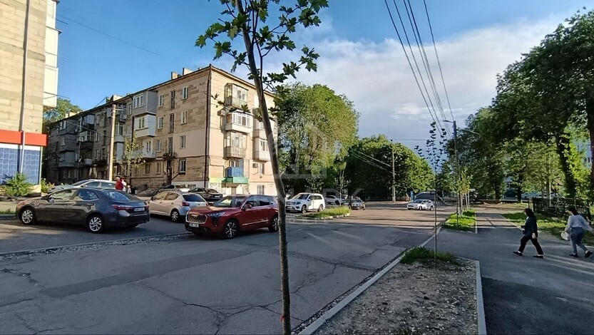 photo259259