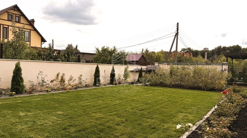 photo258857