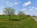 photo_low255312